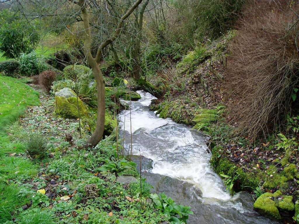 Rhydspence Konuk evi Hay-On-Wye Dış mekan fotoğraf