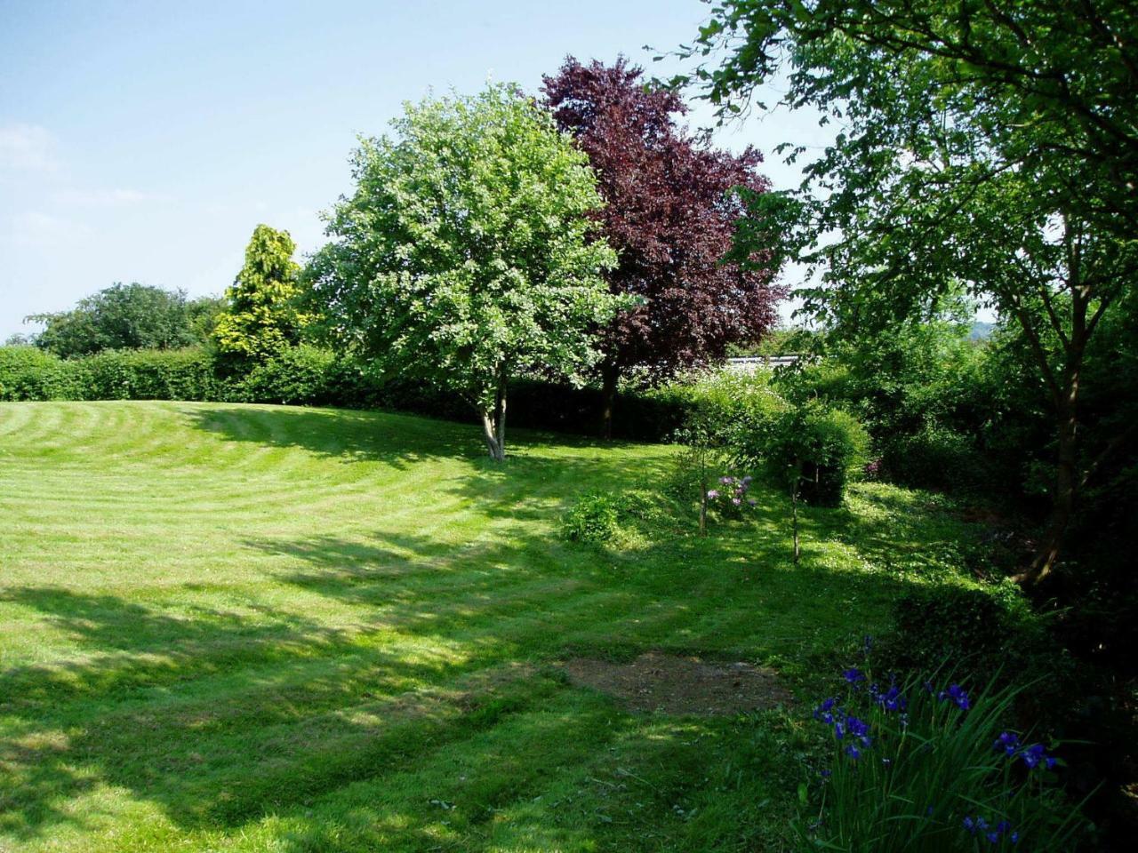 Rhydspence Konuk evi Hay-On-Wye Oda fotoğraf